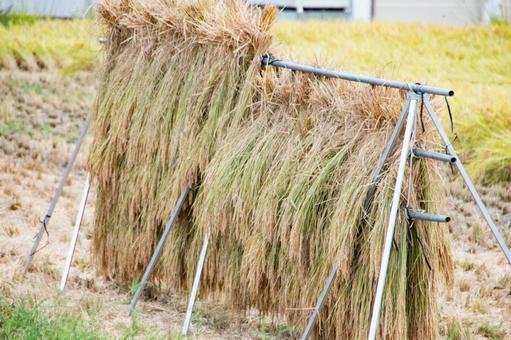 Rice Rack In Badvel